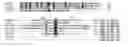 Fig. 03 - Vaccine composition