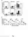 Fig. 04 - Flavivirus vaccine delivery system