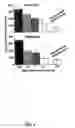 Fig. 05 - Flavivirus vaccine delivery system