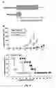 Fig. 06 - Flavivirus vaccine delivery system