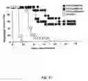 Fig. 07 - Flavivirus vaccine delivery system