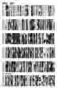 Fig. 06 - Genetically engineered clostridial genes, proteins encoded by the engineered genes, and uses thereof