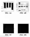 Fig. 14 - Genetically engineered clostridial genes, proteins encoded by the engineered genes, and uses thereof