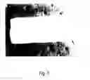 Fig. 04 - Crosslinked elastin and process for producing the same