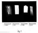 Fig. 08 - Crosslinked elastin and process for producing the same