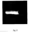 Fig. 12 - Crosslinked elastin and process for producing the same