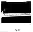 Fig. 13 - Crosslinked elastin and process for producing the same