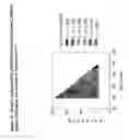 Fig. 11 - Silicone blends and composites for drug delivery