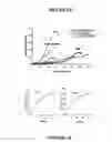 Fig. 06 - Electrospun cell matrices