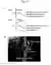 Fig. 09 - Coatings, coated articles and methods of manufacture thereof