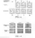 Fig. 03 - Microprojection arrays with improved biocompatibility