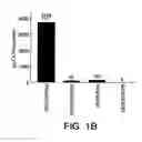 Fig. 03 - Liposome complexes for increased systemic delivery