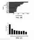 Fig. 05 - Liposome complexes for increased systemic delivery