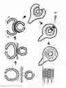 Fig. 10 - Liposome complexes for increased systemic delivery