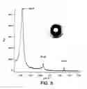 Fig. 13 - Liposome complexes for increased systemic delivery