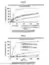 Fig. 04 - Sustained-release oral administration preparation of phenylalanine derivatives