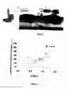 Fig. 02 - Method for improving adsorption of a drug from ethylene oxide derivative