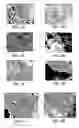 Fig. 03 - Process for making organic/inorganic composites