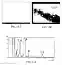 Fig. 09 - Process for making organic/inorganic composites