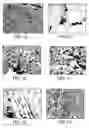 Fig. 10 - Process for making organic/inorganic composites
