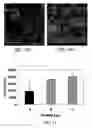 Fig. 11 - Process for making organic/inorganic composites