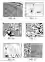 Fig. 10 - Method for treating a bone defect with an organic/inorganic composite
