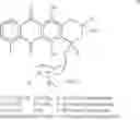 Fig. 07 - Chemoembolisation