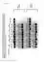Fig. 14 - Materials and methods relating to polyions and substance delivery