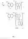 Fig. 02 - Chelated 8-hydroxyquinoline and use thereof in a method of treating epithelial lesions