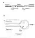 Fig. 08 - Method and means for improving bowel health