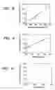 Fig. 07 - Semiconductor manufacturing method for inter-layer insulating film