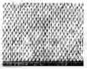 Fig. 01 - Cloth-like tissue sheets having camouflaged texture