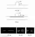 Fig. 08 - Medical device applications of nanostructured surfaces