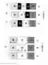 Fig. 02 - Plastic panels with uniform weathering characteristics