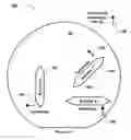 Fig. 01 - Selective permalloy anisotropy