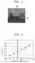 Fig. 07 - Methods, systems and computer program products for correcting photomask using aerial images and boundary regions