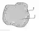 Fig. 01 - Electrostatic charge image developing toner