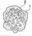 Fig. 01 - Electrostatic charge image developing toner