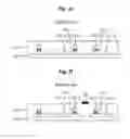 Fig. 04 - GREEN SHEET, PLASMA DISPLAY PANEL (PDP) AND MANUFACTURING METHOD OF PDP