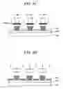 Fig. 10 - Method for manufacturing organic electroluminescence display