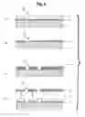 Fig. 06 - Metal mask and manufacturing method thereof