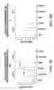 Fig. 07 - Platelet biomarkers for the detection of disease