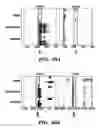 Fig. 35 - Platelet biomarkers for the detection of disease