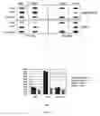 Fig. 09 - Compositions and methods for binding agglomeration proteins