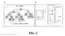 Fig. 05 - Methods for diagnosing htlv-i-mediated diseases