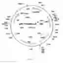 Fig. 04 - Nucleotide sequences of coryneform bacteria coding for proteins involved in l-serine metabolism and method for producing l-serine