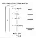 Fig. 03 - Molecular detection systems utilizing reiterative oligonucleotide synthesis
