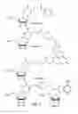 Fig. 04 - Molecular detection systems utilizing reiterative oligonucleotide synthesis