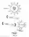 Fig. 22 - Molecular detection systems utilizing reiterative oligonucleotide synthesis