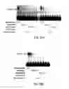 Fig. 35 - Molecular detection systems utilizing reiterative oligonucleotide synthesis